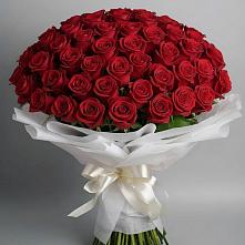 Букет 101 Красная роза Блэк Мэджик в Печоре