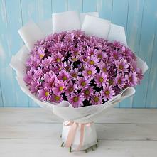Букет цветов из:  Хризантемы в Печоре