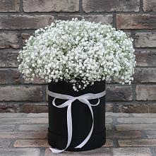 Цветочная композиция из Гипсофила в шляпной коробке в Печоре