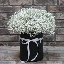 Цветочная композиция из Гипсофила в шляпной коробке в Печоре