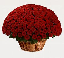 Премиум букет из: Розы в Печоре